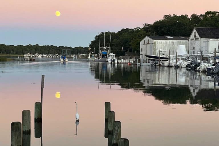 Heading out at high tide